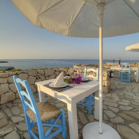 Jasmine * Kyrenia (Northern Cyprus)